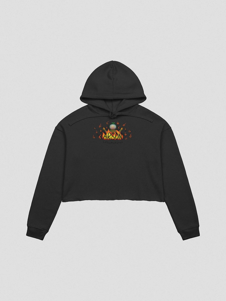 Arson Cropped Hoodie product image (4)