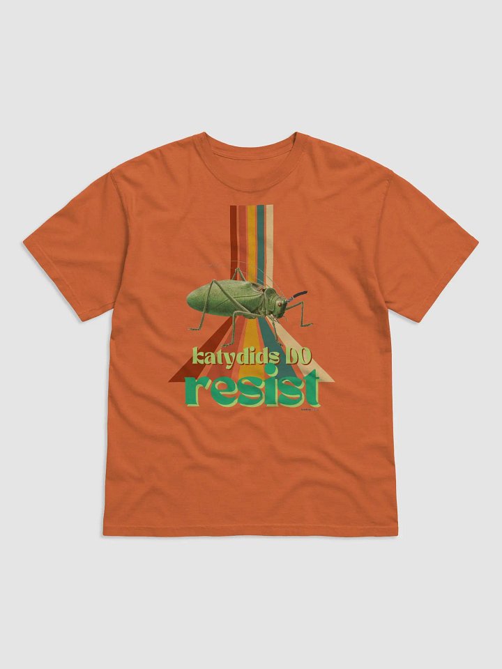 Katydids DO Resist LKM Modern Fit Tee product image (55)