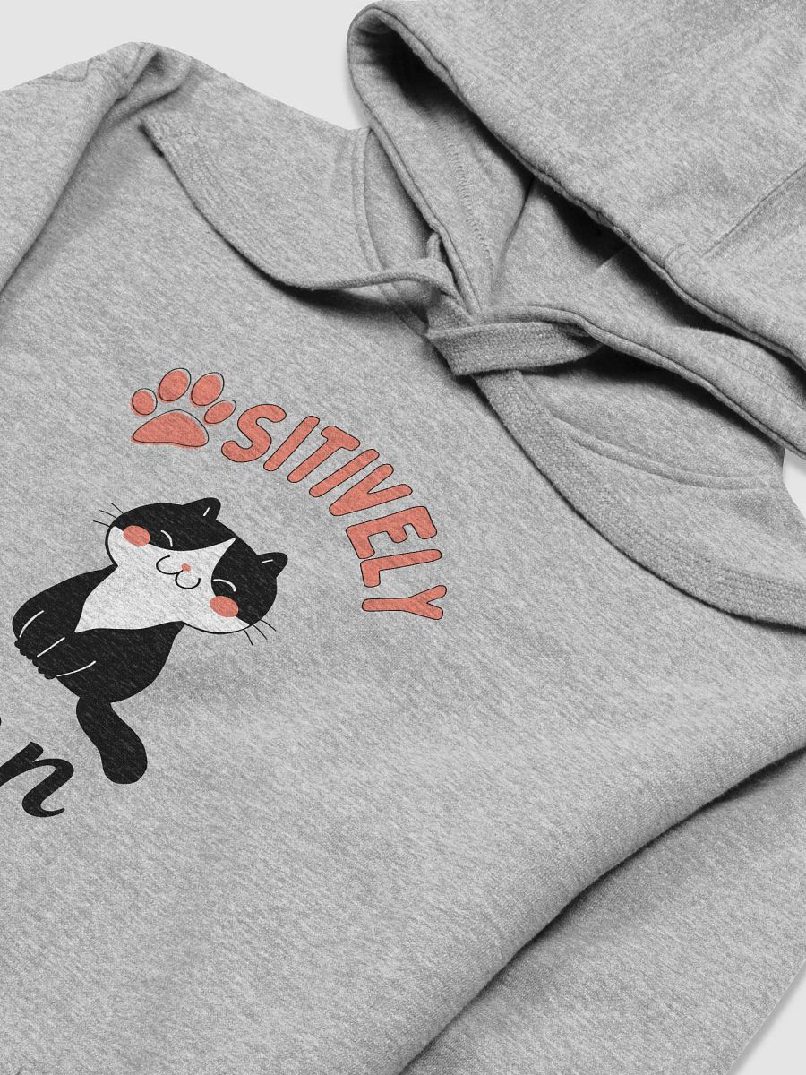 'Positively Zen' Unisex Premium Hoodie product image (3)
