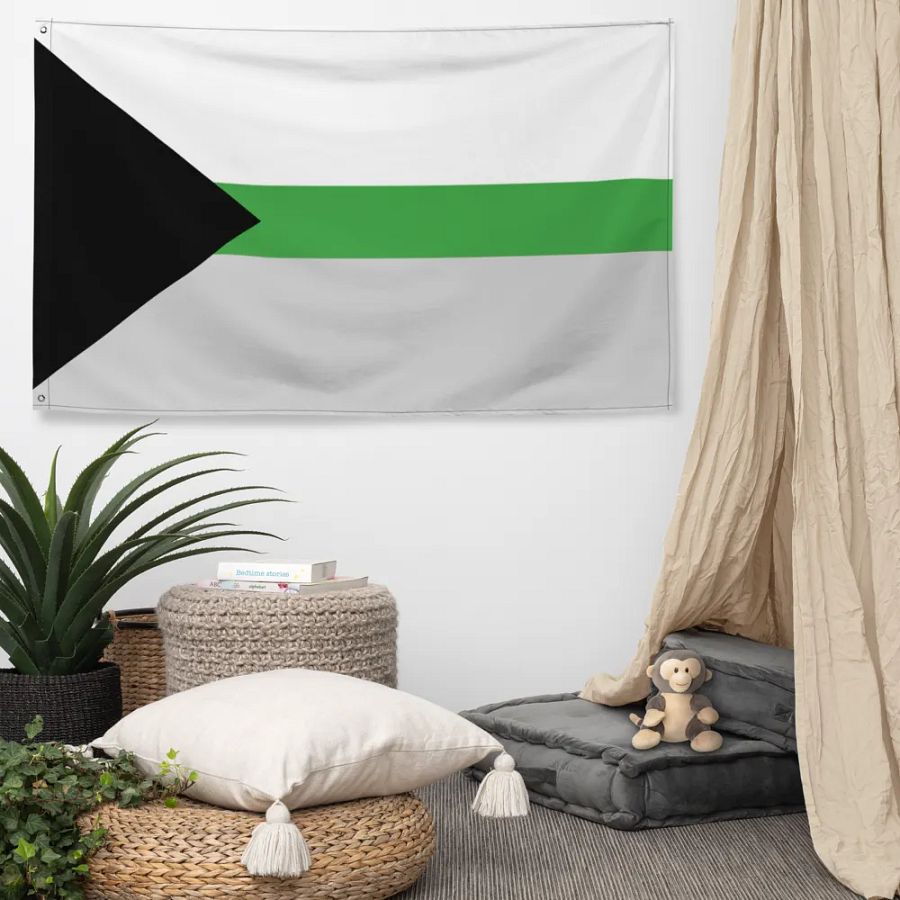 Demiromantic Flag product image (5)