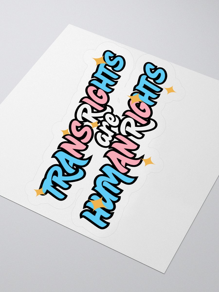TRANS RIGHTS ARE HUMAN RIGHTS Sticker product image (9)