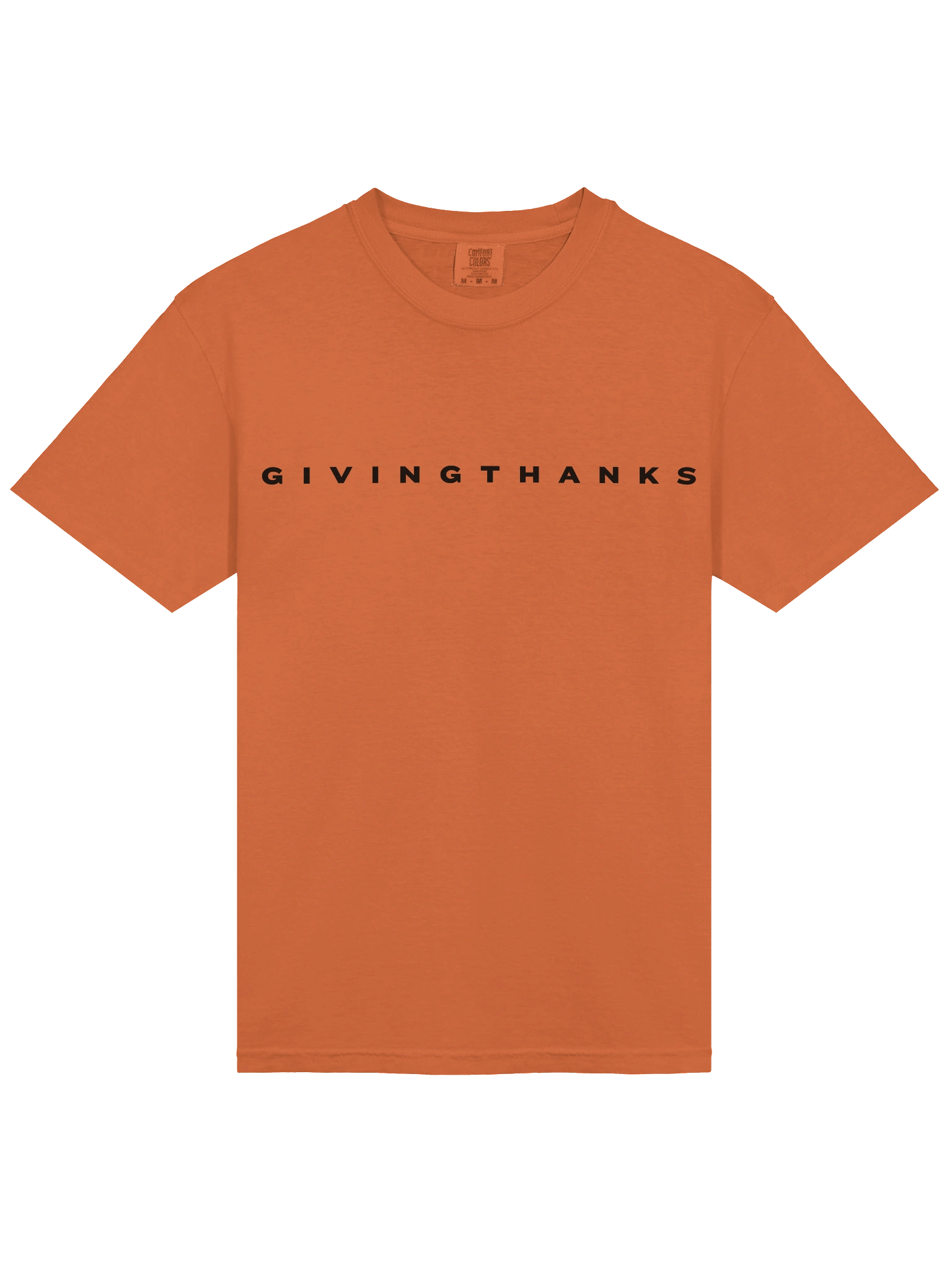 Plain Thanksgiving _ T Shirt product image (11)