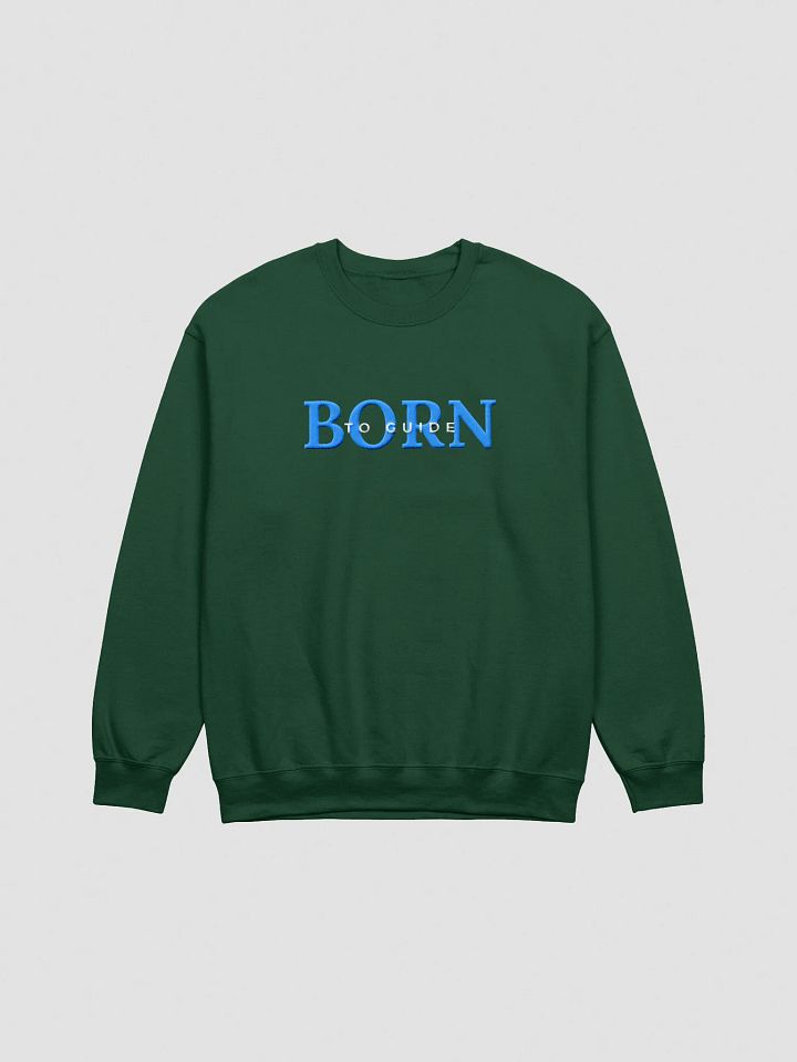Born to Guide Projector Embroidered Sweatshirt (Blue) product image (2)