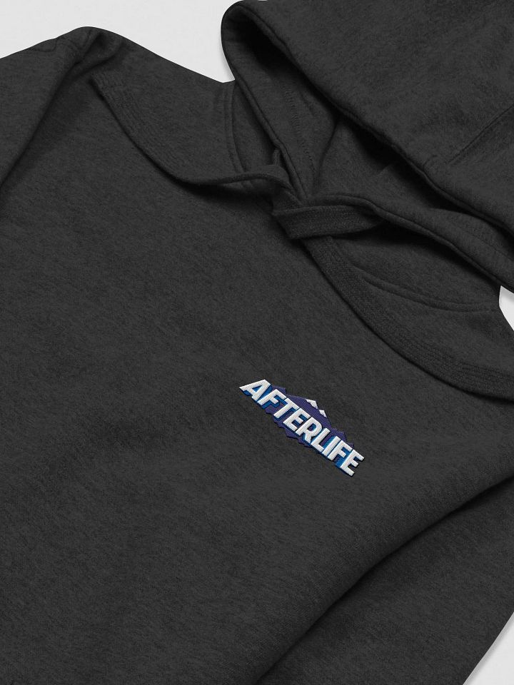 AfterLife Embroidered Hoodie product image (1)