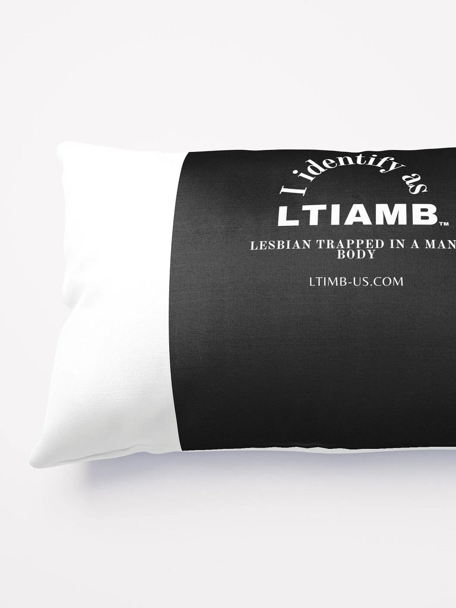 LTIAMB Pillow product image (3)