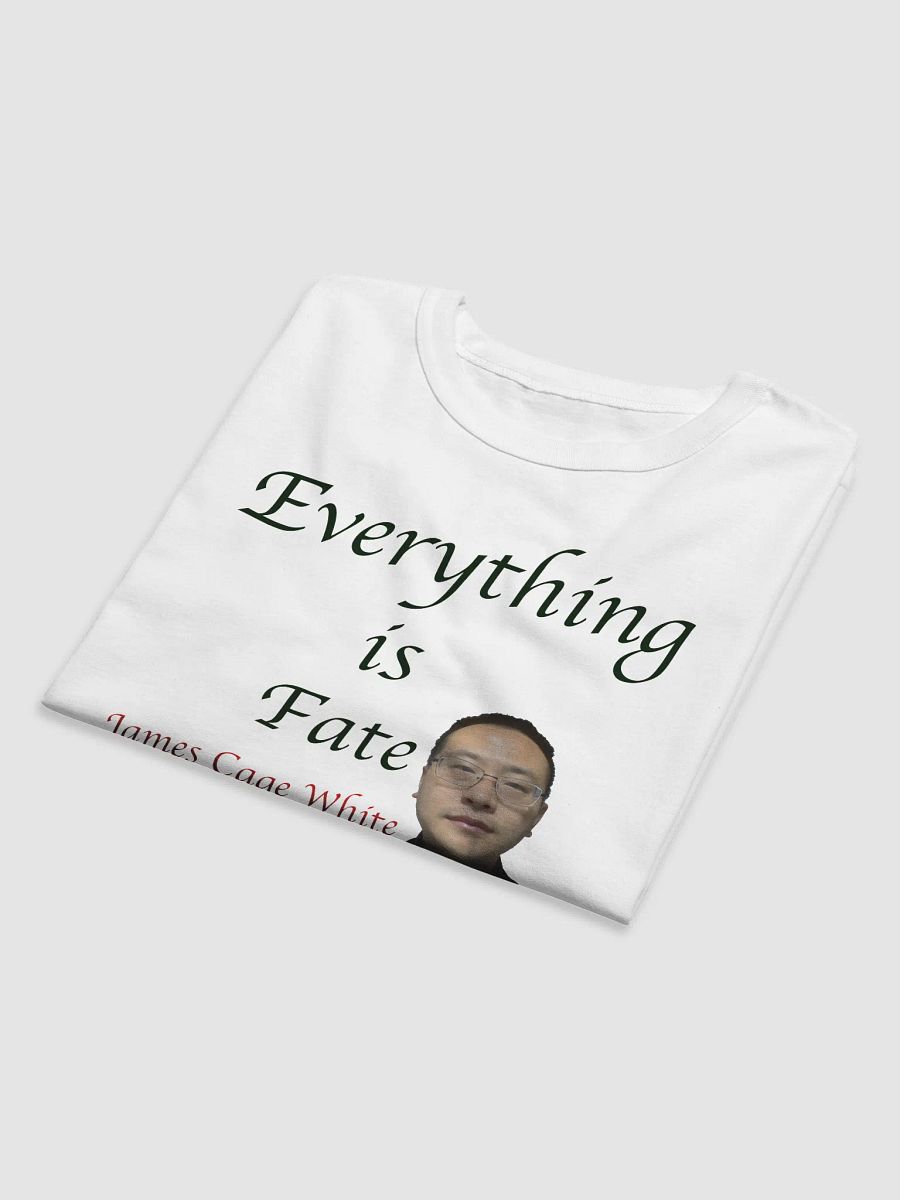 Champion Relaxed-Fit T-Shirt:fate product image (24)