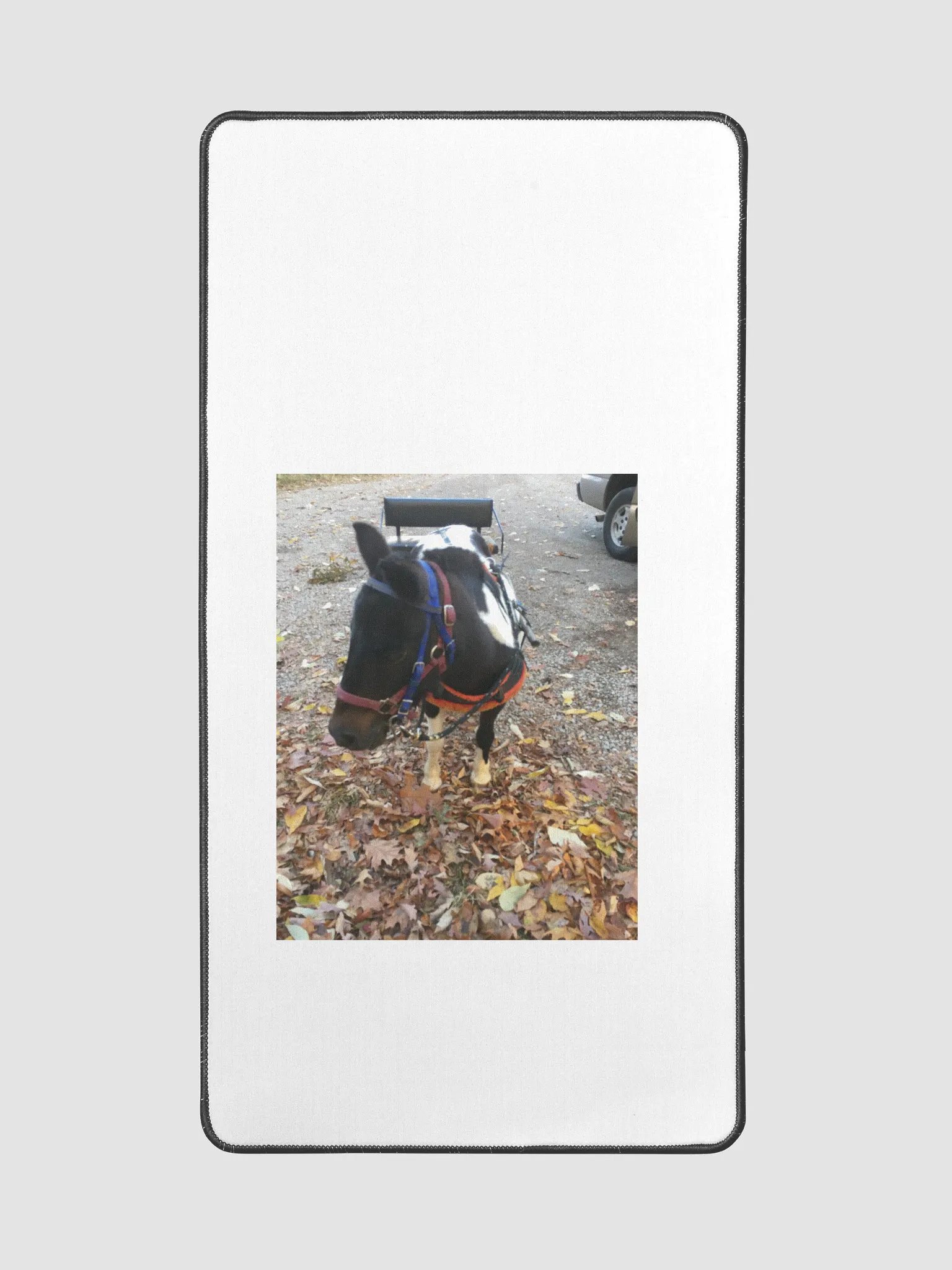 minite pony product image (2)
