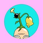 BellhopProductions