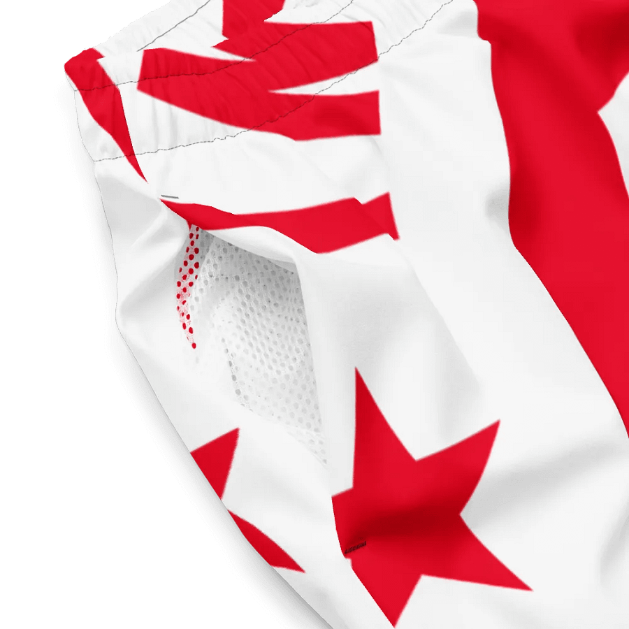 IFBNewsfeed.Org's All-Over Print Swim Trunks product image (3)
