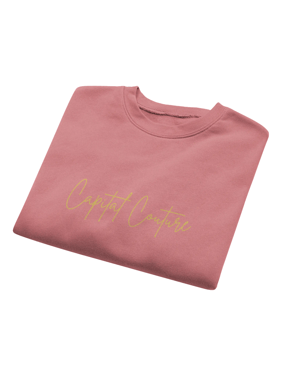capital couture crop sweatshirt product image (45)