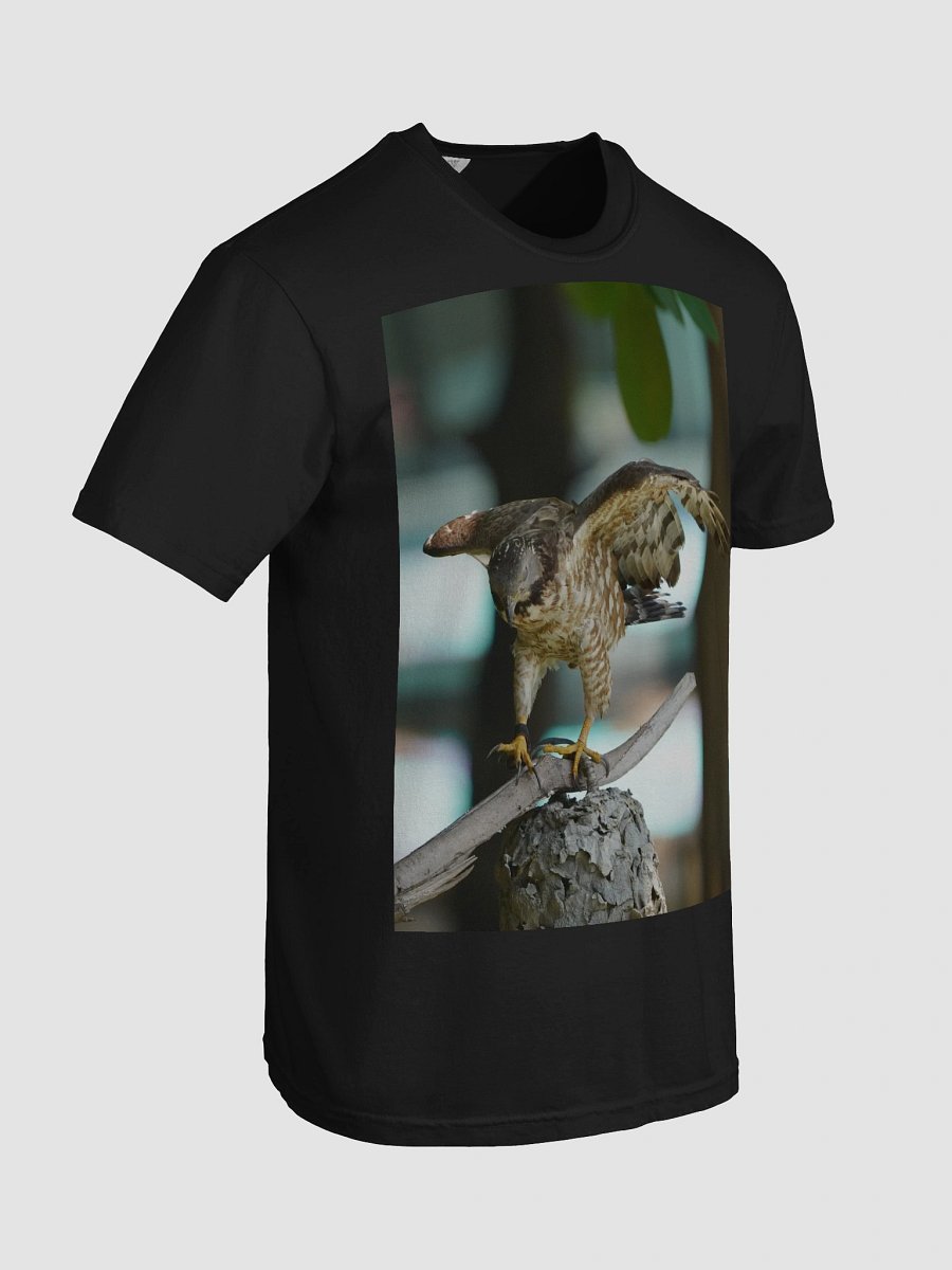 Majestic Falcon Relaxed Fit T-Shirt product image (7)