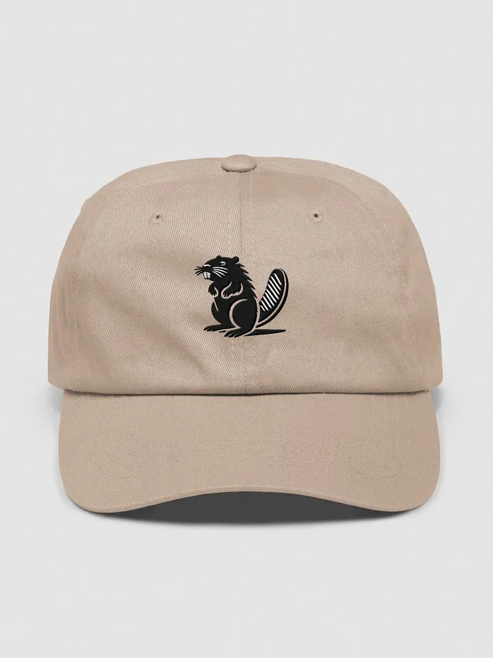 BVR | GEO Classic Cap product image (1)