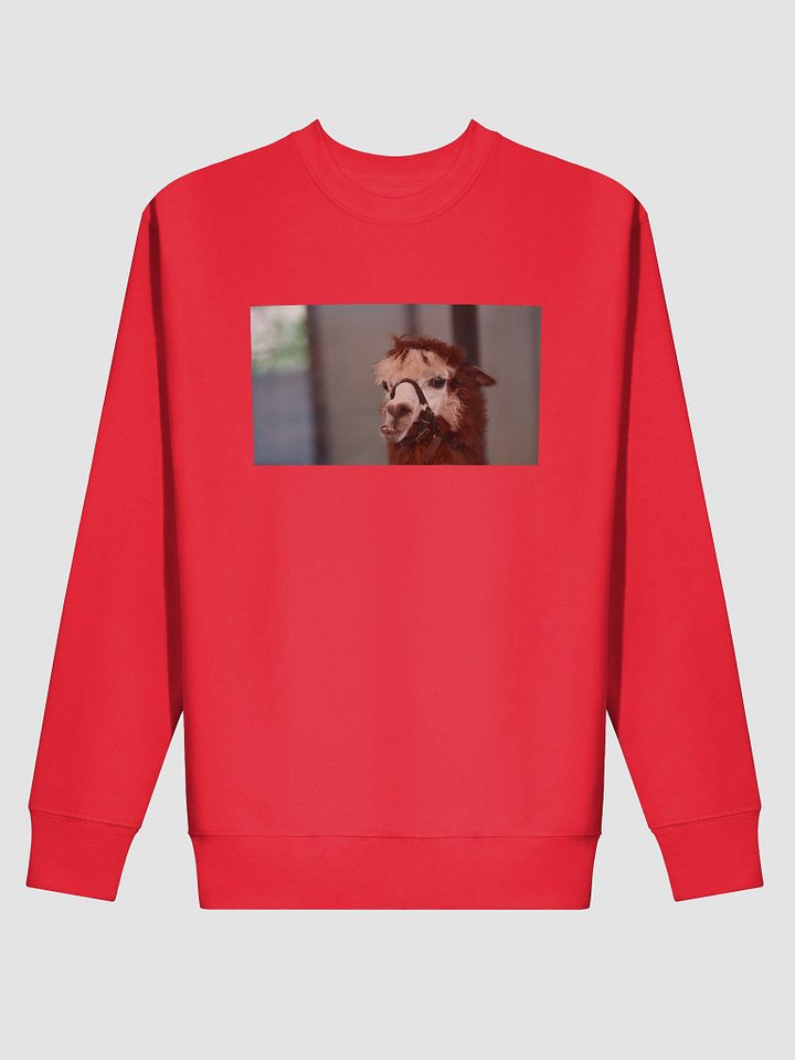 Halter-Clad Llama Cotton Sweatshirt product image (2)