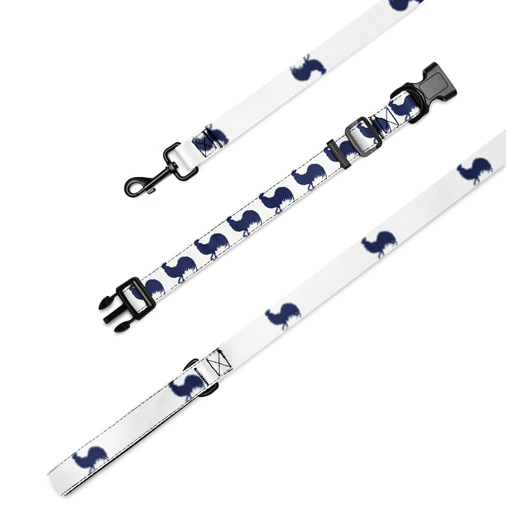 VBC Pet Leash & Collar product image (2)