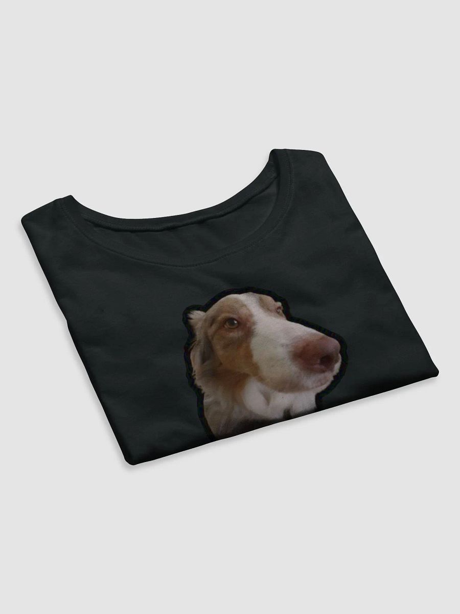 holesome Biggie crop top product image (20)