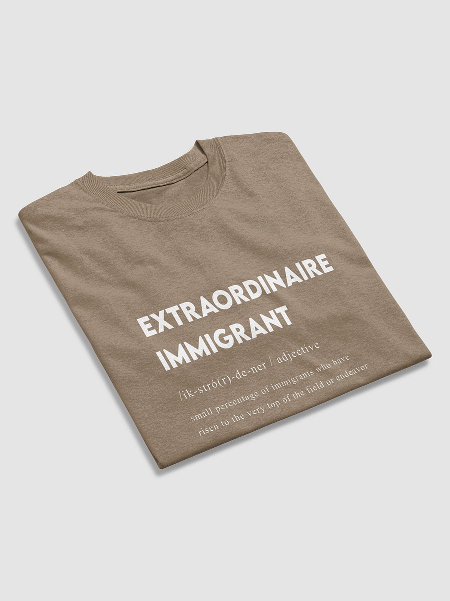EXTRAORDINAIRE IMMIGRANT TSHIRT BROWN product image (4)
