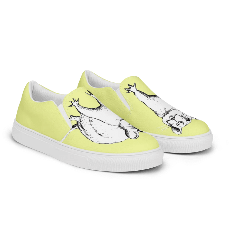 Hint of rat slip on canvas shoes product image (10)