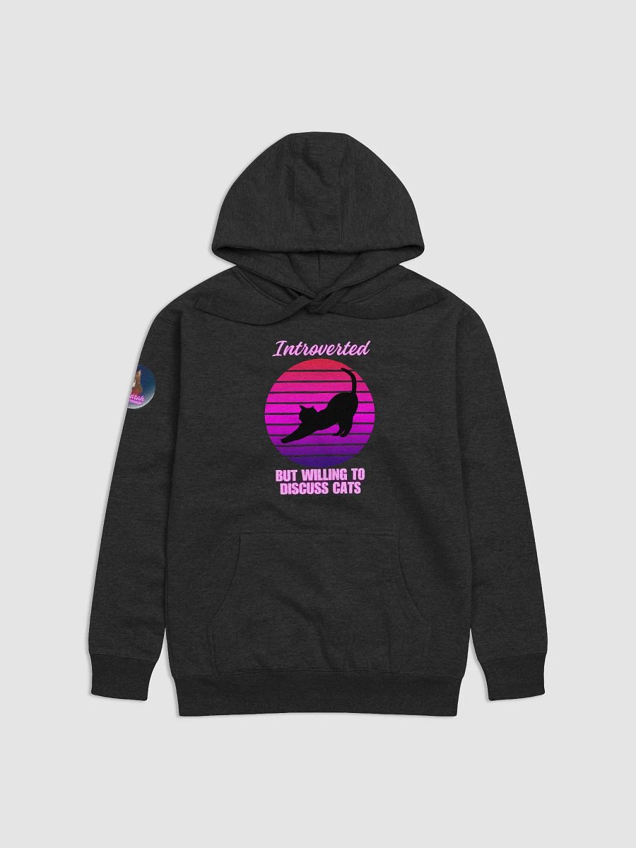 Introverted hoodie product image (1)
