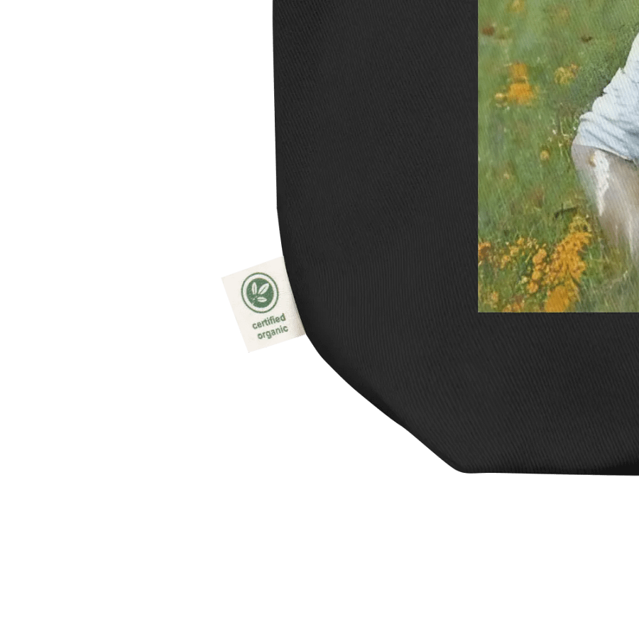 Pioneer Woman Cotton Tote product image (4)