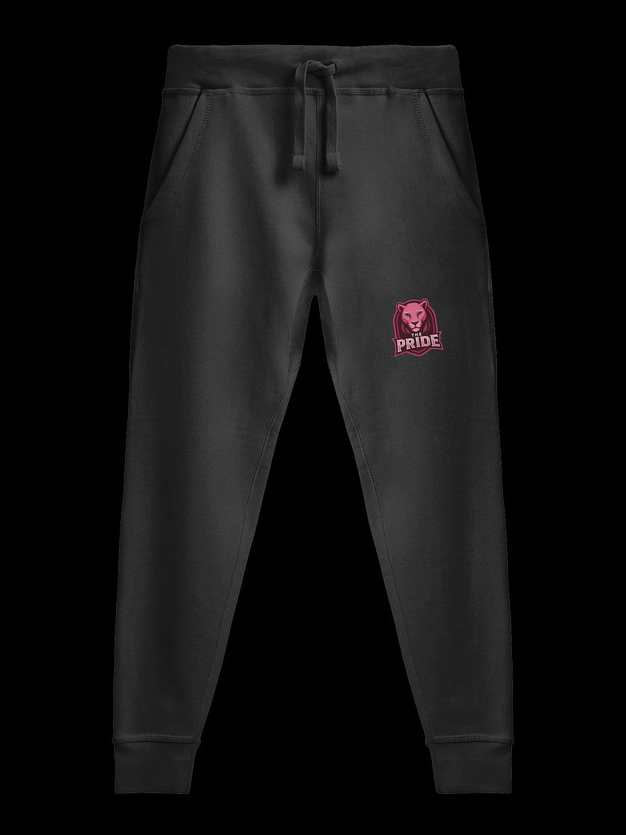 The Pride Sweats product image (3)