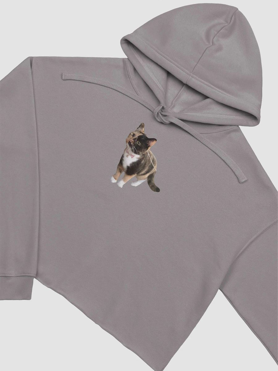 The Cutest Lyra Crop Top Hoodie product image (3)