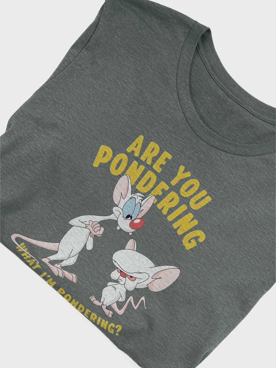 Pinky and the Brain - Unisex T-Shirt product image (46)