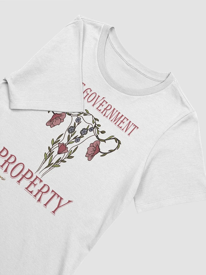 Women's Rights - Not Government Property product image (18)