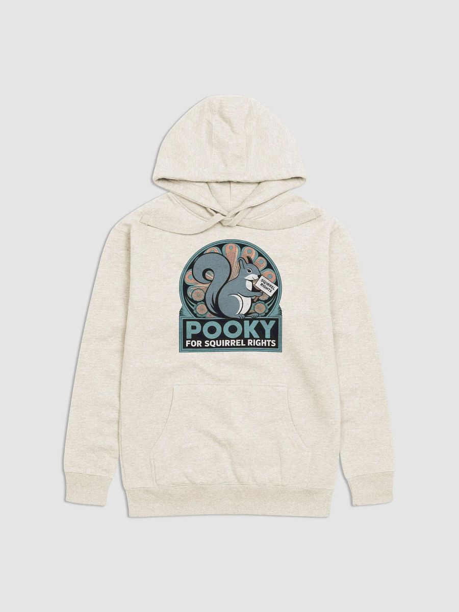 Super Soft Hoodie: Pooky for Squirrel Rights! Deco, teal font. product image (1)