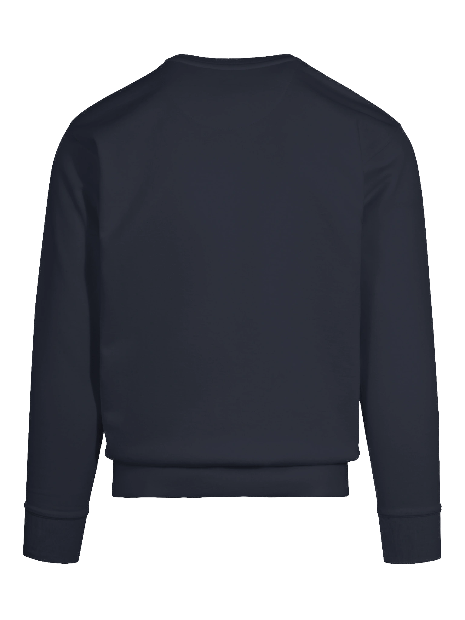 Streamer Definition Sweatshirt product image (11)