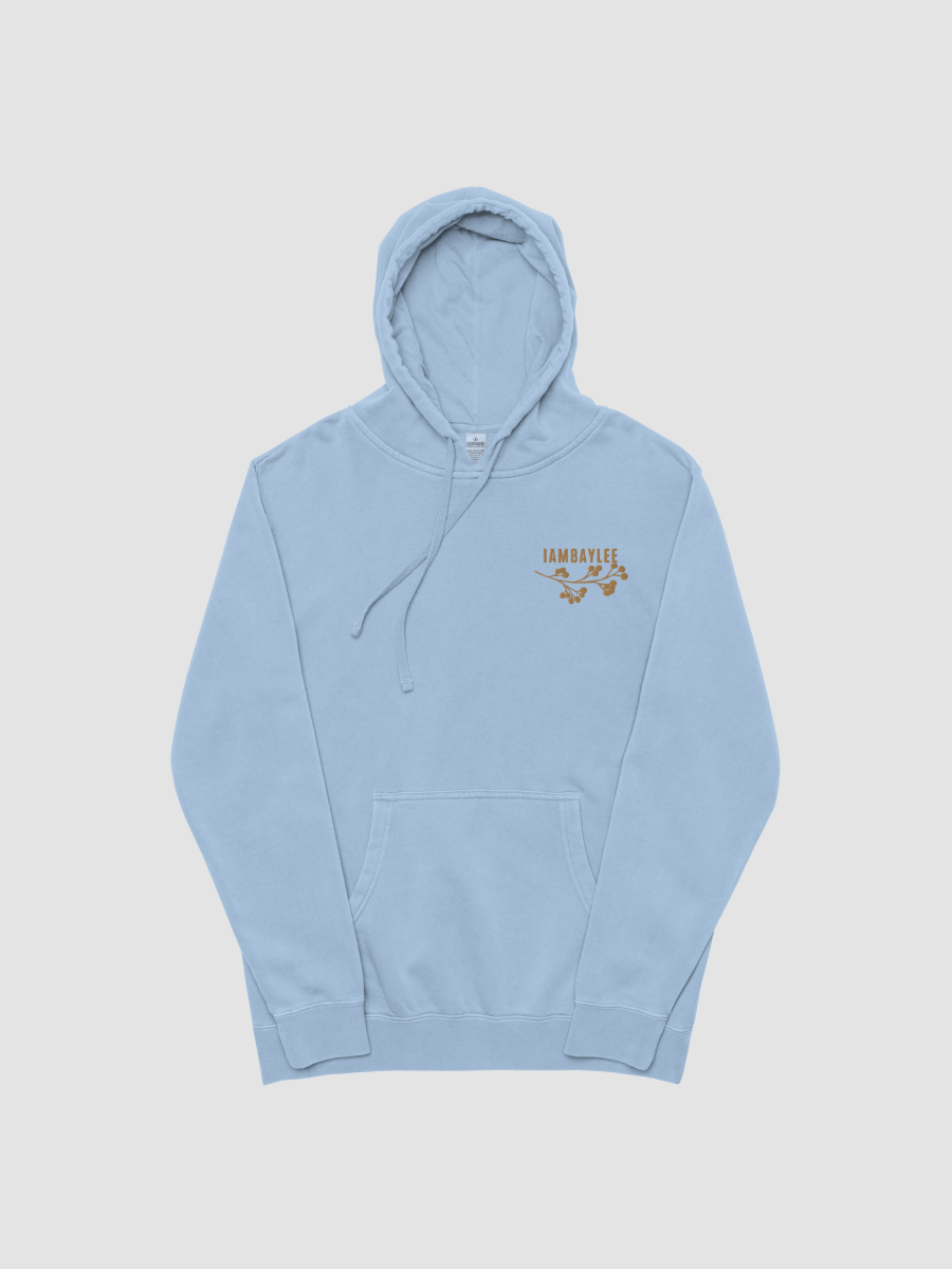 IAMBAYLEE Pigment Dyed Embroidered Hoodie product image (3)