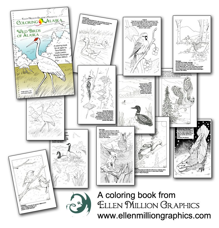 Coloring Alaska - Coloring Books product image (4)