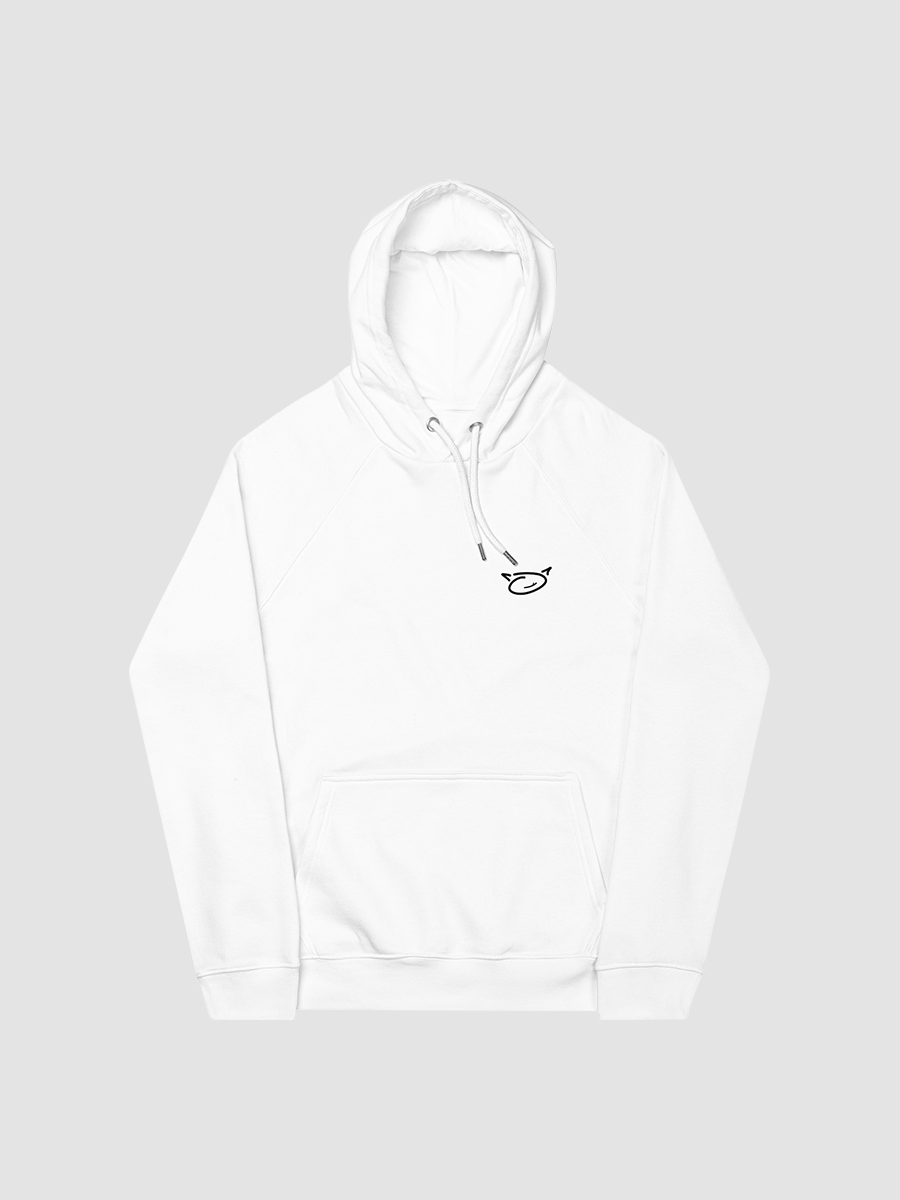 "Struggler" Eco Raglan Hoodie [LIGHT] product image (4)
