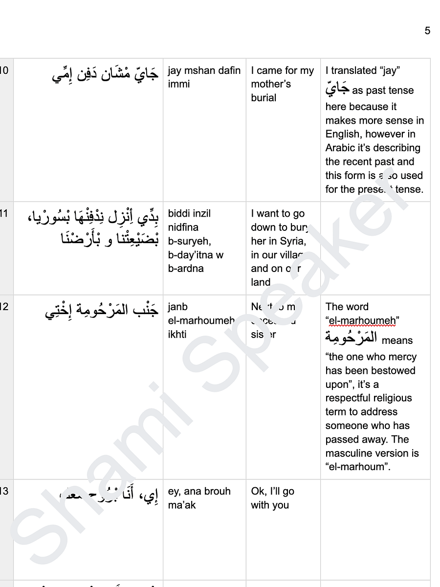 Learn Levantine Arabic With TV Shows (Ya Rayt Part 8) product image (3)