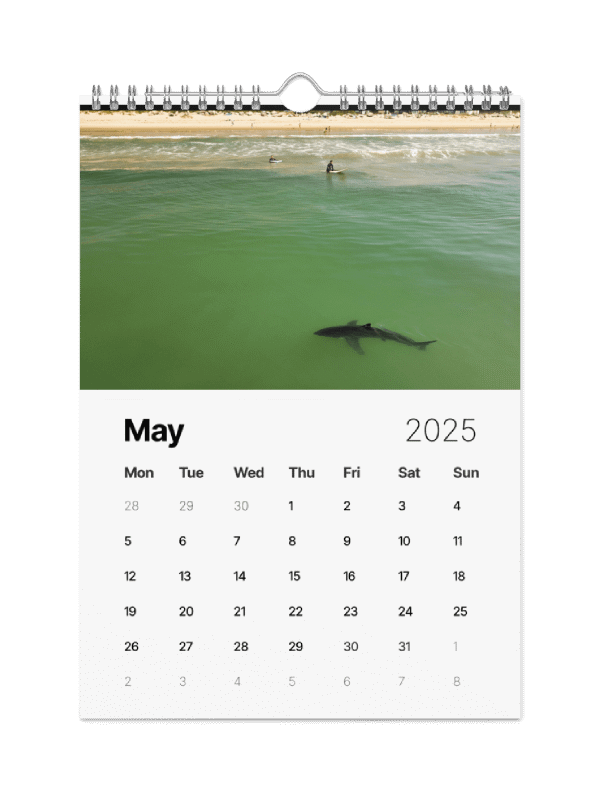 The Malibu Artist 2025 Calendar product image (6)