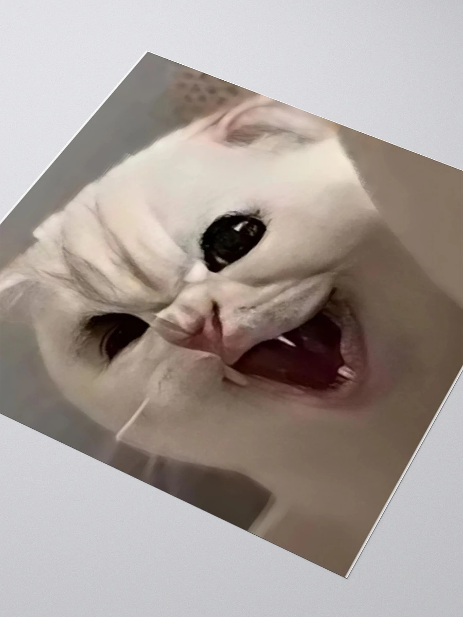 Kiss Cut Stickers: Meme Cats product image (3)