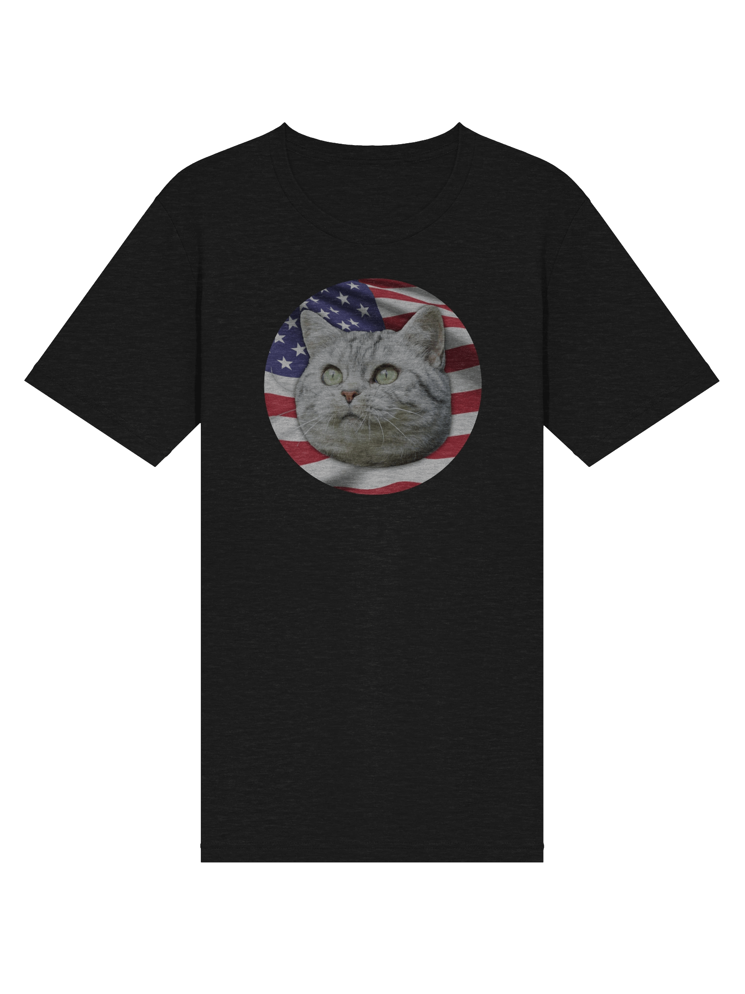 PATRIOTIC CAT LOGO (Triblend) product image (27)