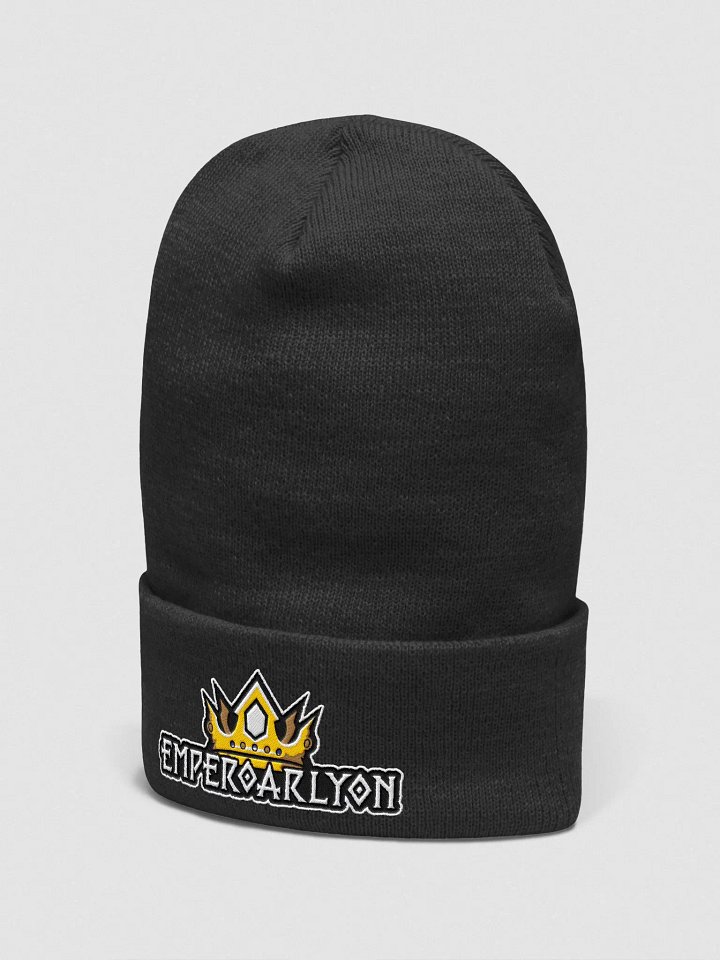 Cuffed Beanie product image (13)