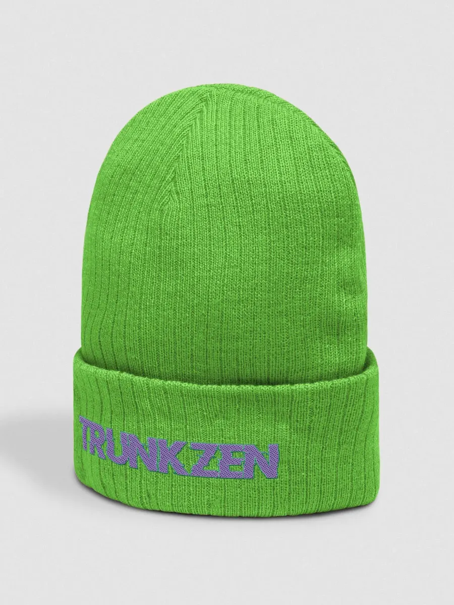 TrunkZen Beenie product image (14)