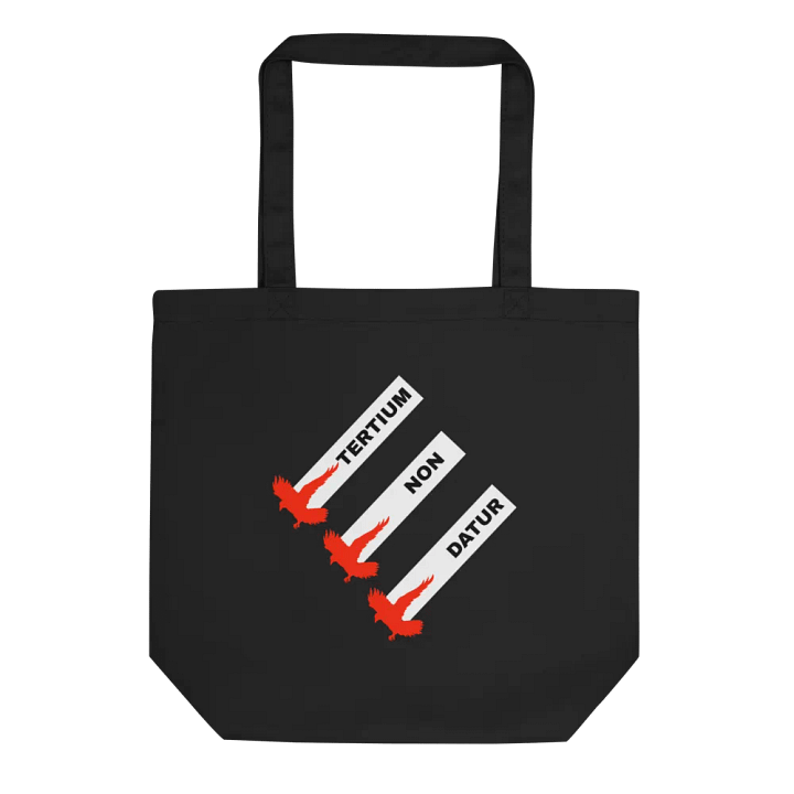 LIMITED - No Third Way Tote product image (1)