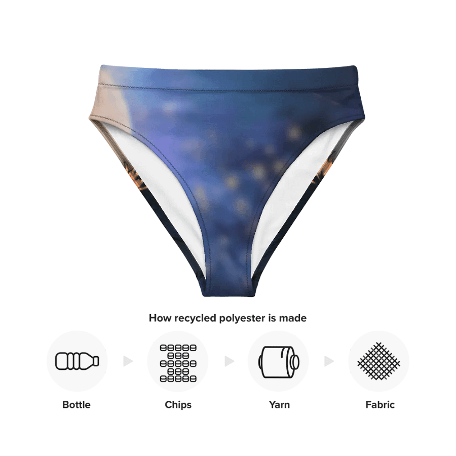 High Waisted Bikini Bottom product image (12)