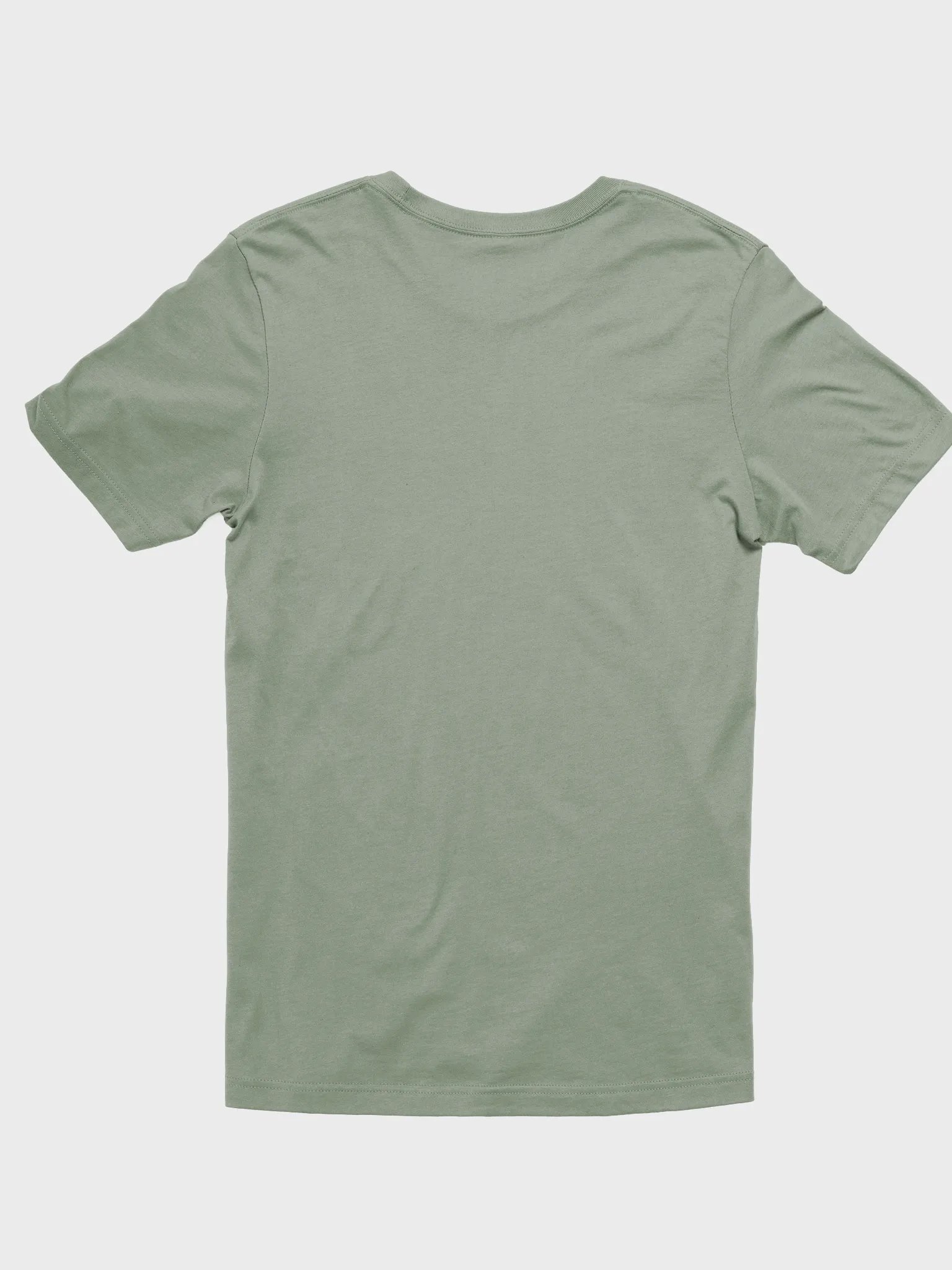 Birds of Literature T-Shirt product image (9)