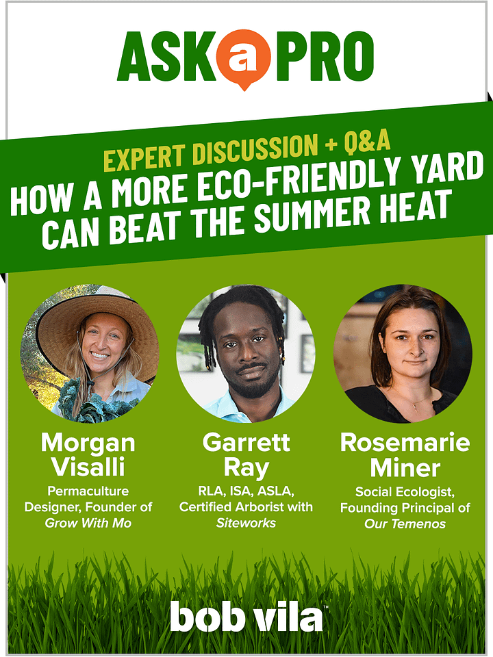 How a More Eco-Friendly Yard Can Beat the Summer Heat product image (1)
