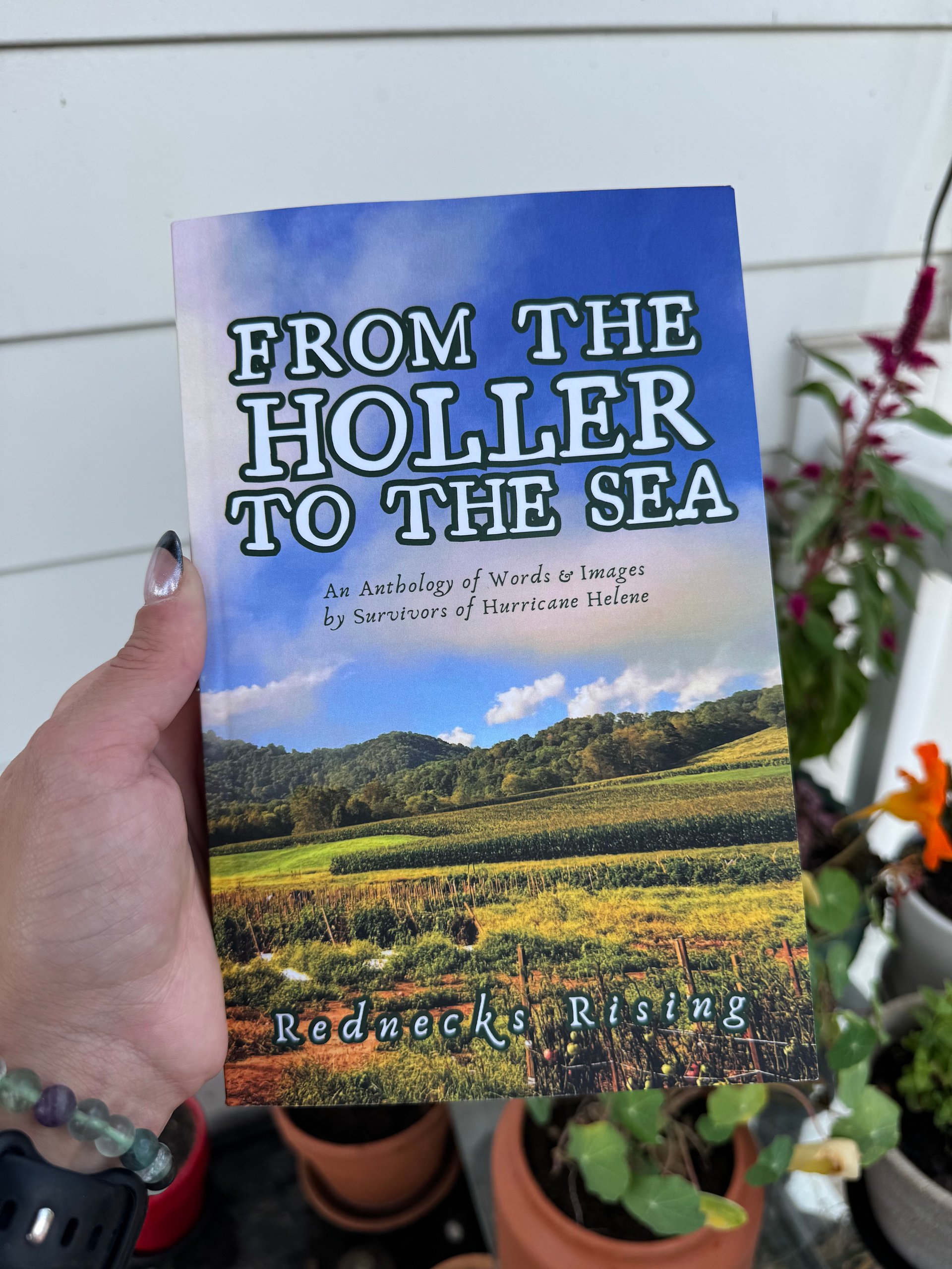 PRE-ORDER - From the Holler to the Sea Anthology product image (4)