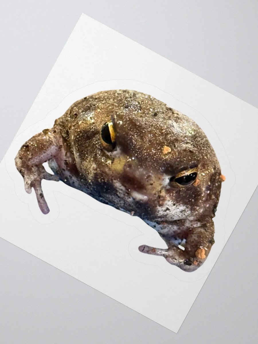 Mad Rain Frog Sticker product image (5)