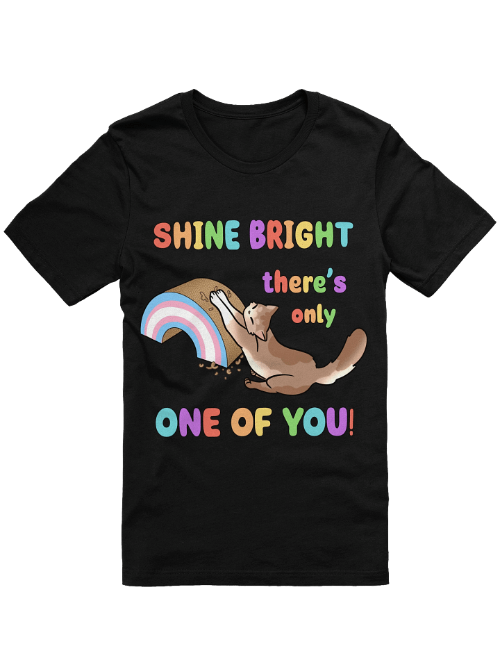 Shine Bright Trans Pride Shirt product image (3)