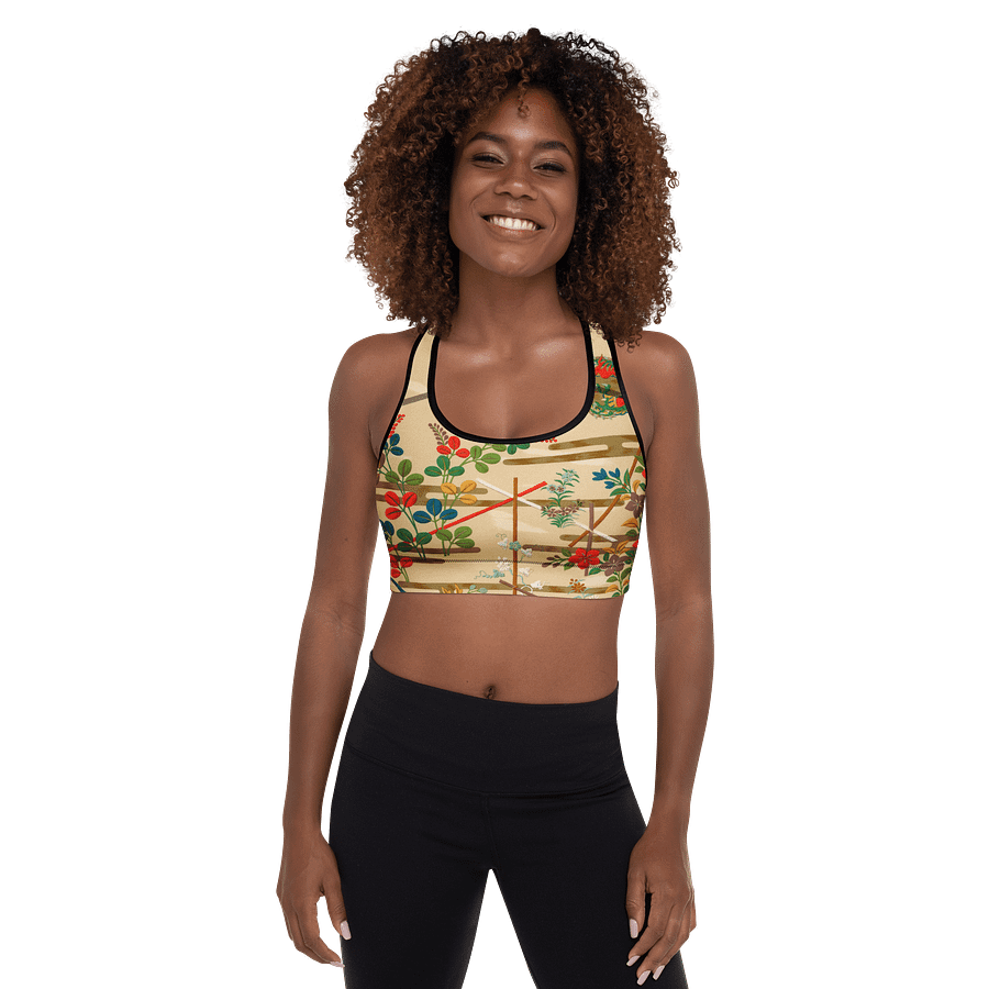 Vintage Painting. Sports Bra product image (4)