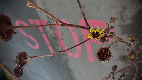 “Stop”
Digital Photo, 2025
.
.
.
.
.
It’s that time of year again.  I’ll be stepping out of specific posting on social media ...