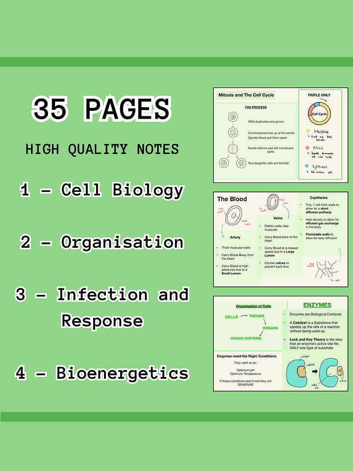 AQA GCSE Biology Paper 2 Revision Notes (25 Pages) | Revision Made Easy product image (2)