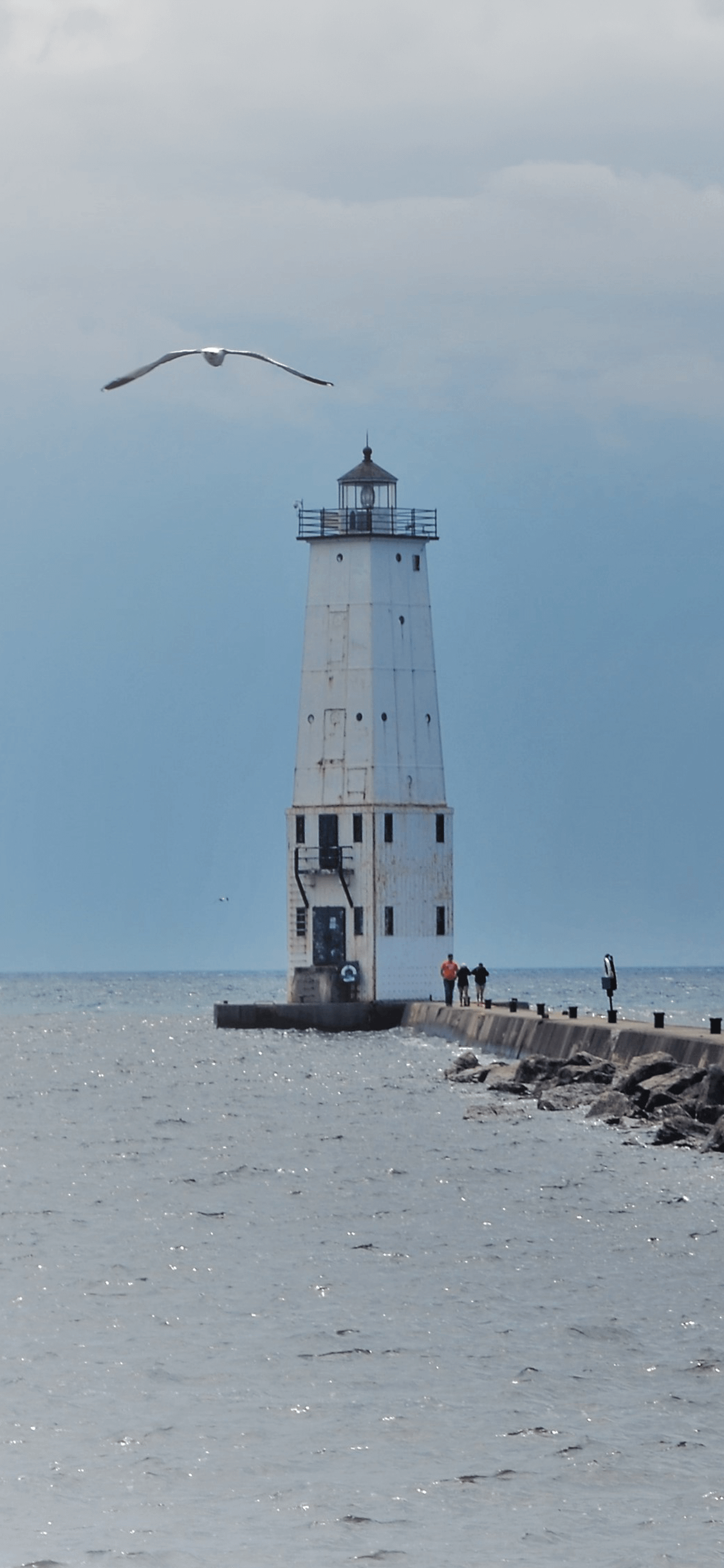 Lighthouse and Seagull Phone Background product image (1)