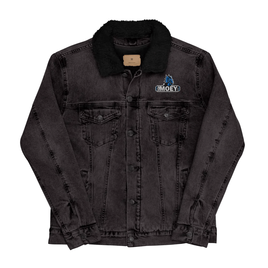 NZMOEY Threadfast Apparel Unisex Sherpa Denim Jacket product image (3)